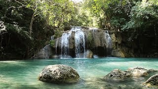 MÚSICA RELAXANTE FLAUTA INDÍGENA E SONS DA NATUREZA