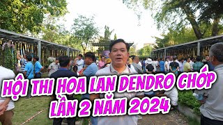 HỘI THI và TRIỂN LÃM HOA LAN DENDRO CHỚP Lần 2 Năm 2024