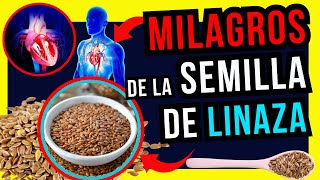 La Linaza y sus Sorprendentes Beneficios para la Salud Digestiva #linaza #lino #semilladelinaza