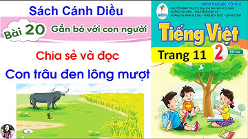 Tiếng Việt lớp 2 sách Cánh Diều|Bài 20 Chia sẻ và đọc: Con trâu đen lông mượt|Trang 11, 12 | #69