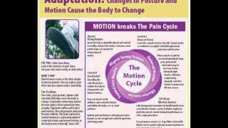 Posture Principles
