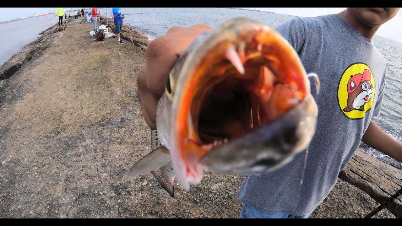 This is why I ALWAYS Go to the Jetties. Tons of Fish and CRAZY People ...