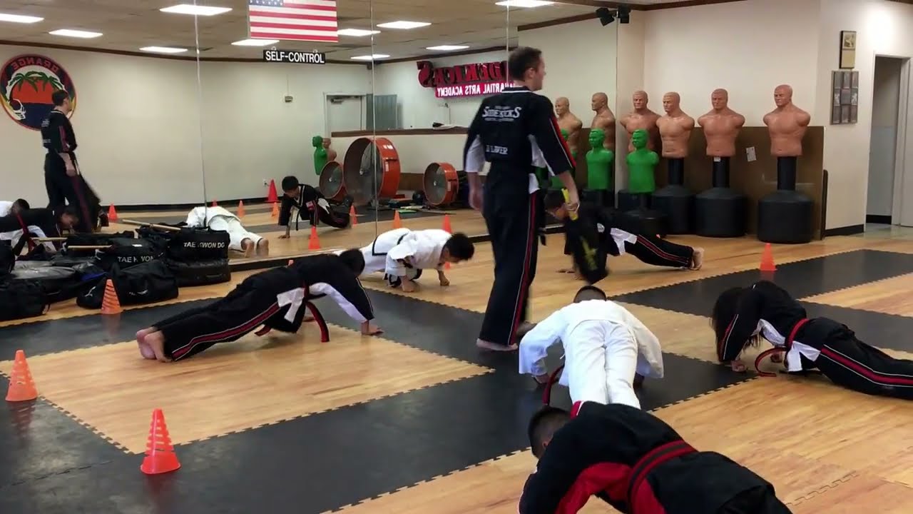 Kids Martial Arts Class Video Sidekicks Martial Arts Academy San