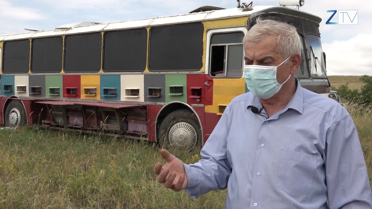 Ավտոբուսի ուղևորը մեղվափեթակն է