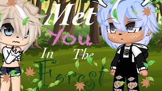 // Met you in the forest\\|XxGacha TvxX|