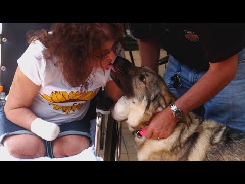Video: Kvinna som kanalen tappade henne hundens mun och upplagd foto på Facebook laddad med djurbråck