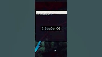 Top Five Operating Systems for Ethical Hackers - Rahul Setrakian