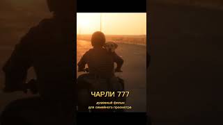 Трейлер фильма Чарли 777. Рекомендуется для семейного просмотра. Очень душевный фильм!!!