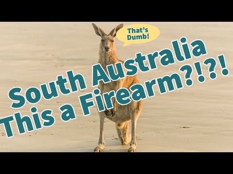 South Australia Bans This Toy For Being a "Gun"