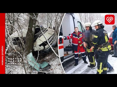 На Переяславщині автомобіль врізався в дерево: постраждалих юнаків деблокували рятувальник
