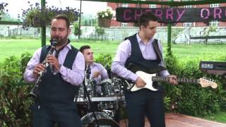 Vesela gajda -  Live Band Skopje - cover (Moja svadba 2017) Resimi