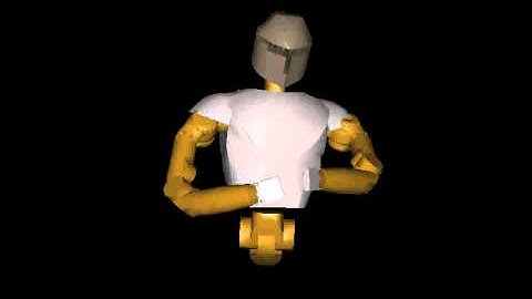 Collision Avoidance with NASA