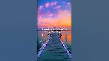 سورة الكهف اسلام صبحى #اكسبلور #المصحف #quran #الكهف #اسلام_صبحي #تلاوة_خاشعة #الجمعة