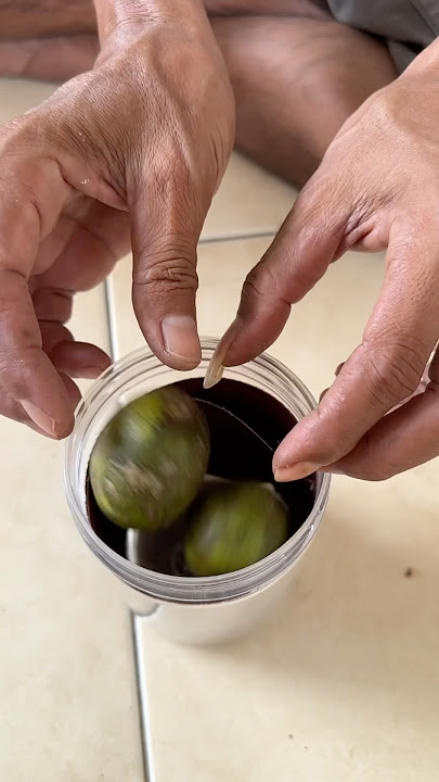 CARA CEPAT KUPAS BUAH KEDONDONG #cara #tutorial #foryou #shorts