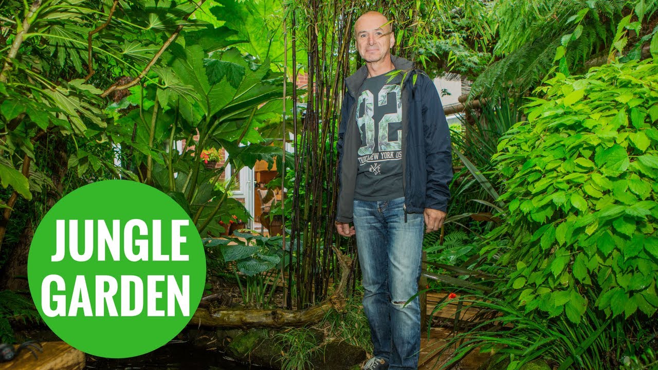 Grandfather transforms back garden into rain forest