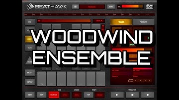 BeatHawk - The WOODWINDS Ensemble IAP Pack - Demo for the iPad