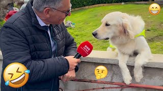 Download Lagu I dare you not to LAUGH at these FUNNY DOGS 😁🦮 - Best Funny Animals Videos 2025 #54 MP3 Download Lagu I dare you not to LAUGH at these FUNNY DOGS 😁🦮 - Best Funny Animals Videos 2025 #54 MP3