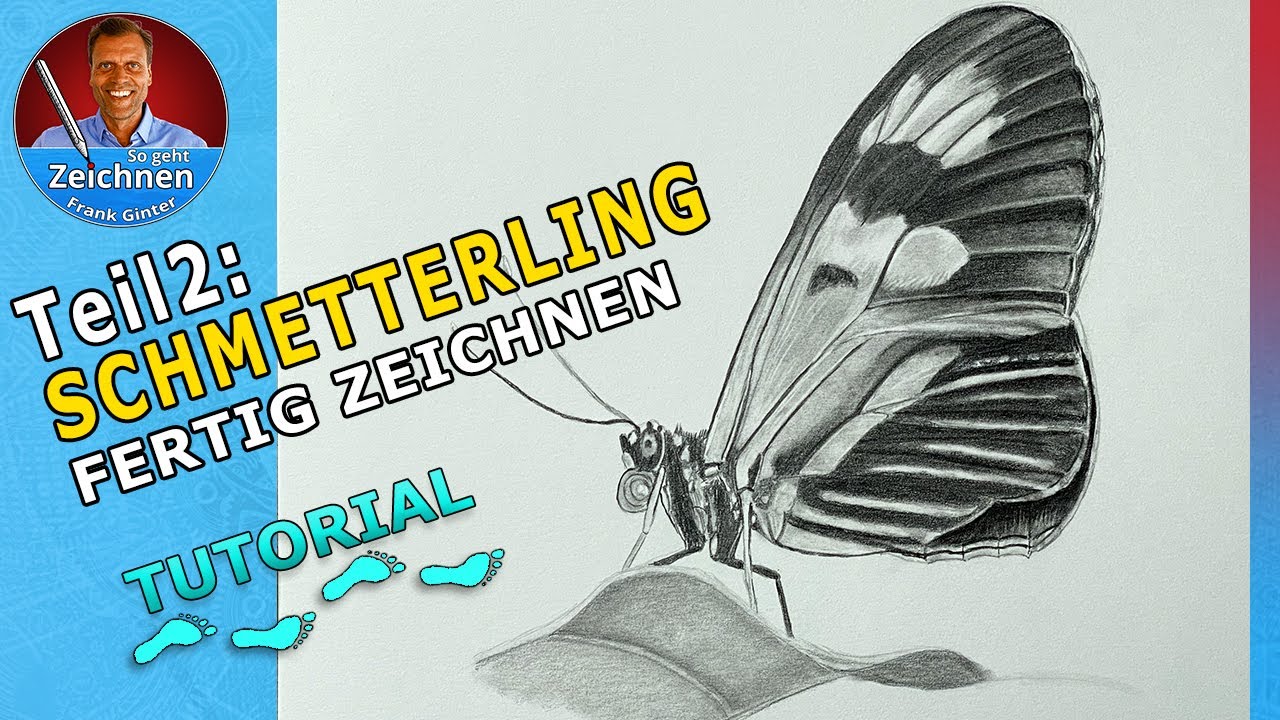 Teil2: Schmetterlinge zeichnen für Anfänger - Schmetterling mit ...