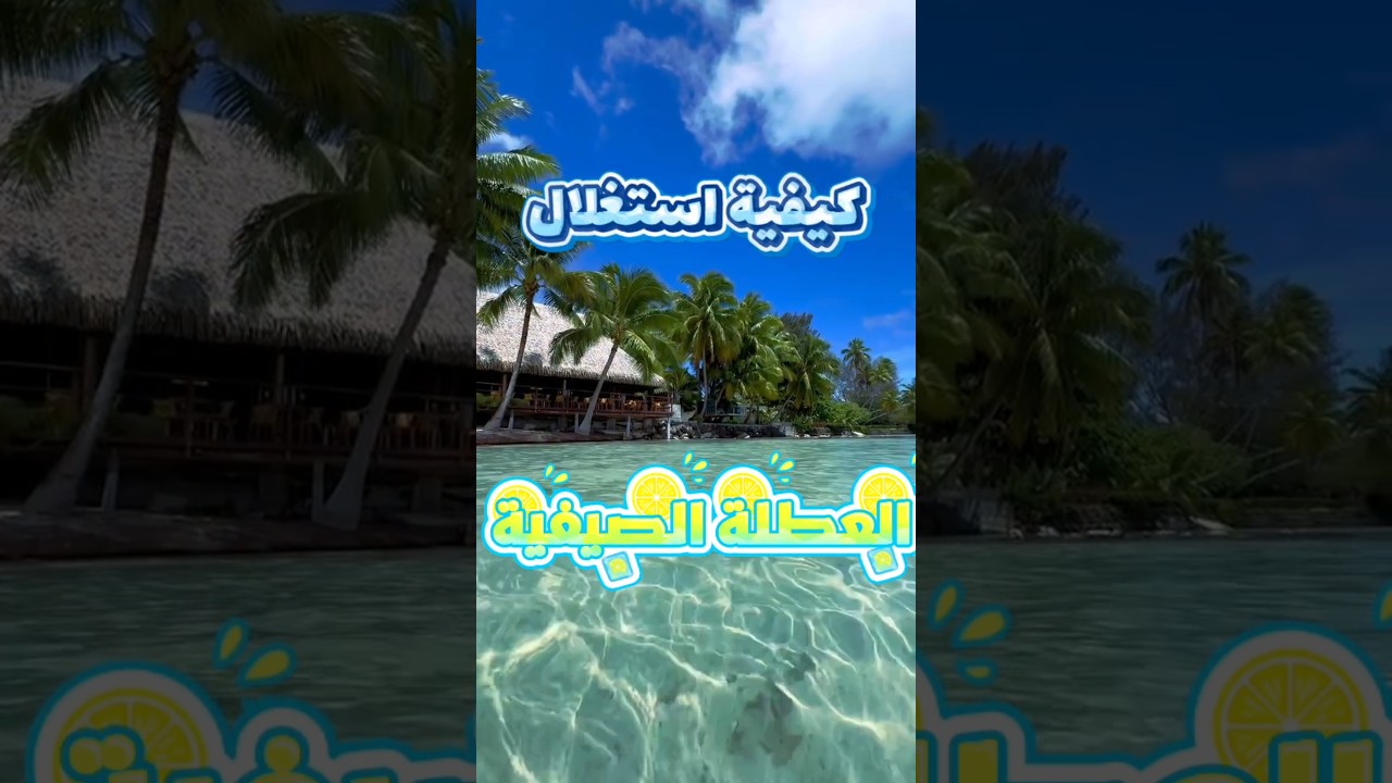 كيفية استغلال العطلة الصيفية