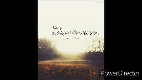 تلاوة خاشعة من ليالي رمضان للشيخ سعد الغامدي / ماتيسر من سورة النحل