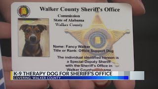 Support dog added to K-9 team in Walker County