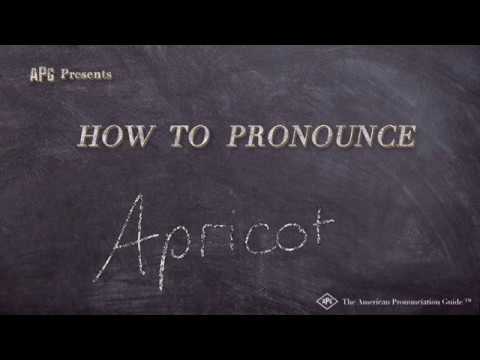 How To Pronounce Apricot YouTube Hqdefault