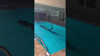Swimpro