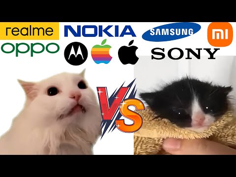 Kitten Meows VS