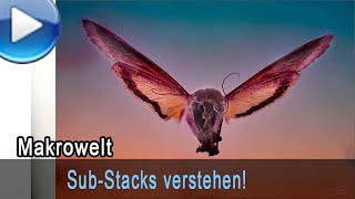 Sub-Stacks verstehen und anwenden - unter Helicon Focus Pro.