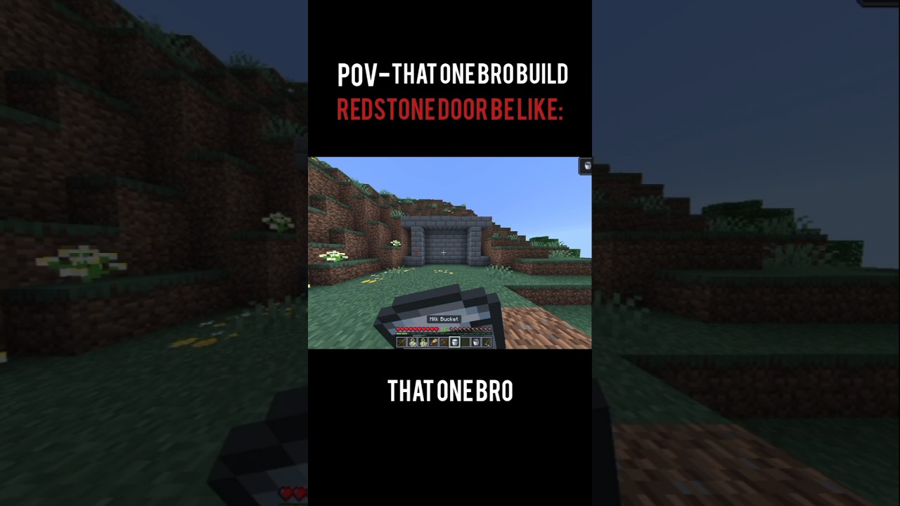 THAT ONE BRO BUILD REDSTONE DOOR|