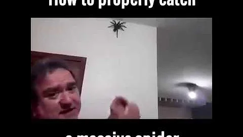 How to catch a massive spider