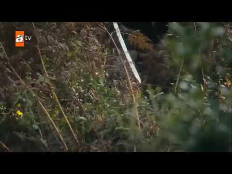 مشهد اسطورى عثمان يهاجم مقر سلفادور ويقتل جنوده