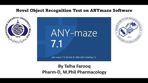 Noval Object Recognition protocol ANYmaze