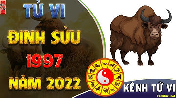 Tử vi năm 2022 Nhâm Dần tuổi Đinh Sửu 1997 Chính Xác Nhất