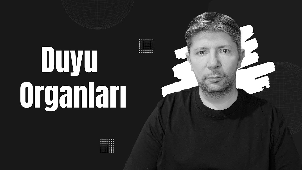 Duyu Organları  #biyoloji #yks #yks2025 #sarmalbiyoloji #2025tayfa #aytbiyoloji #aytbiyolojinotları