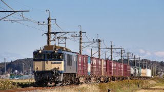 JR貨物EF64 1022号機(国鉄色) 鹿島線貨物列車1094レ 2019.11.20 撮影