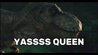YAAAAAAA