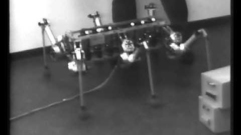Six-legged robot MAX first steps - 1994