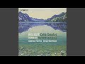 Miniature de la vidéo de la chanson Cello Sonata No. 1 In E Minor, Op. 38: Iii. Allegro
