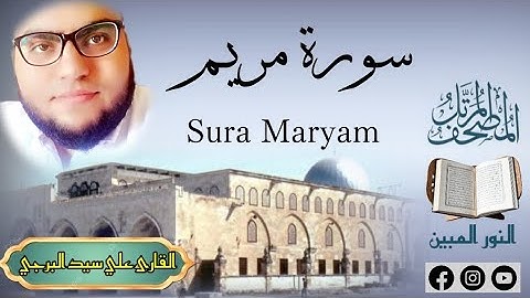 المصحف المرتل | سورة مريم مكتوبة القارئ علي سيد البرجي ١٤٤٦ هجرية Sura Maryam