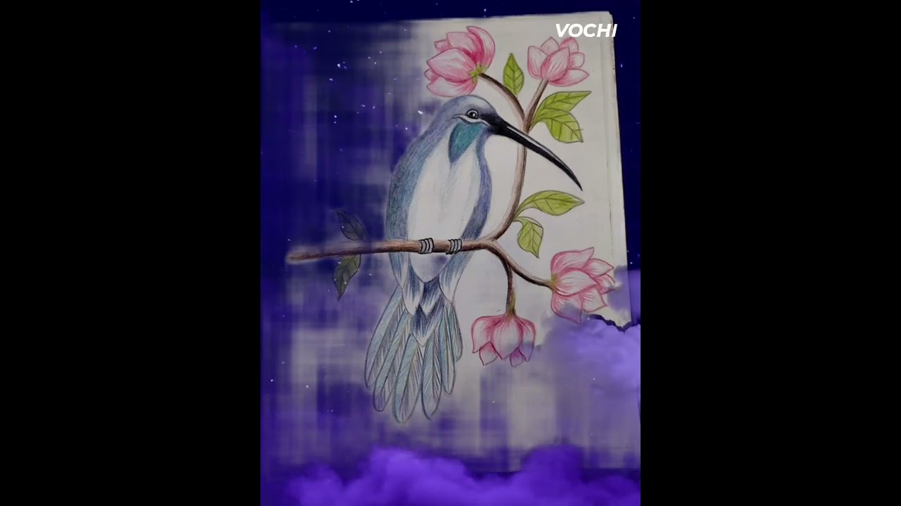 I edited the blue robin i have sketched