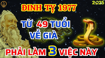 Bí Ẩn Trời Định  Vận Mệnh Đinh Tỵ 1977, Từ 49 Tuổi Lộc Trời Rơi Tận Cửa Về Già Giàu Nứt Đố Đổ Vách