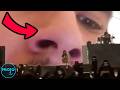 Top 10 Funniest Things to Happen in the Background of Musical Performances