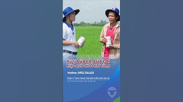 Xử lý lúa cỏ lúa cơi hiệu quả với Ô Hai Tầng #shorts