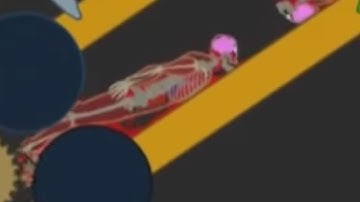 WATCH IT SHRED! \\ 2 human bodys // PHUN ALGODOO