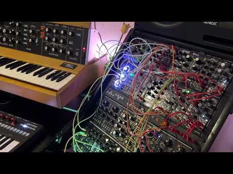 Modular & Minimoog (Keysteppro, Plaits, Euclidean Circles, WMD Crater, Percall)