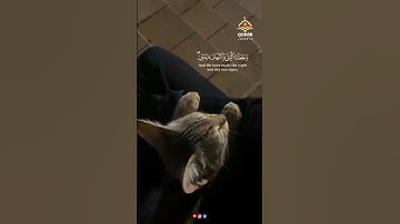 اكتب شيء #تؤجر عليه #quran #تلاوات #تلاوة_خاشعة #قرآن