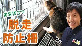 Diy カンタンで確実な猫の脱走防止柵の作り方 Youtube