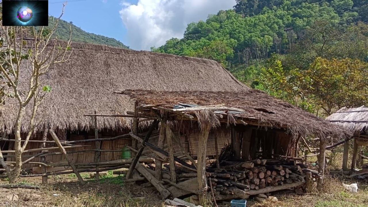 MUS ZOV NPLOOS RAUG DAB HEM /AUG/4/2025