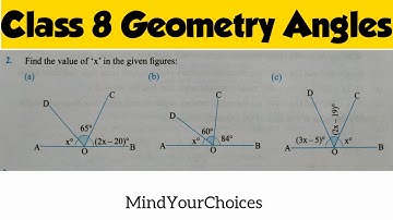 Class 8 Geometry Angle Exercise | Geometry Class 8 | Supplementary Angles | Find The Value of x